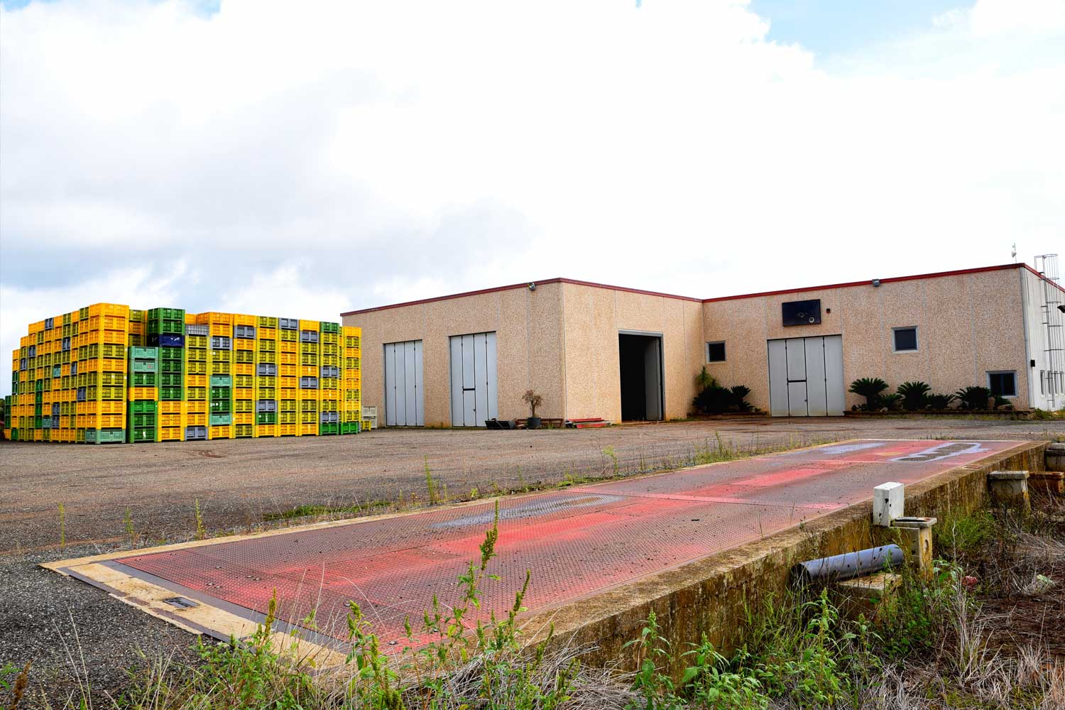 our-logistic-structure-colline-del-giglio_0.jpg